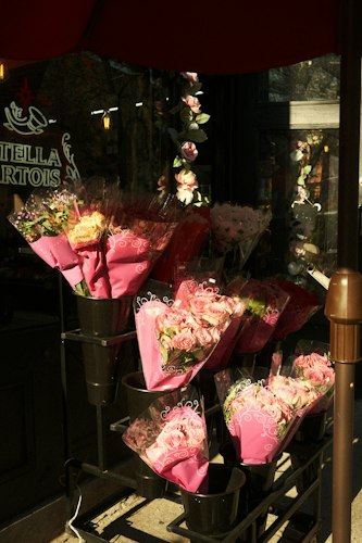 Flower Care Kit